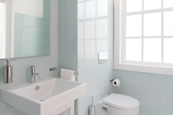 Temiz ve düzenli bir banyo, lavabo ve tuvalet ile.