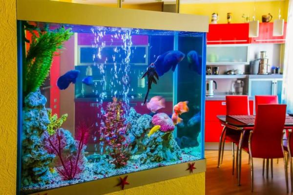 Renkli bir akvaryum ve arka planda mutfak mobilyaları ile modern yemek odası.