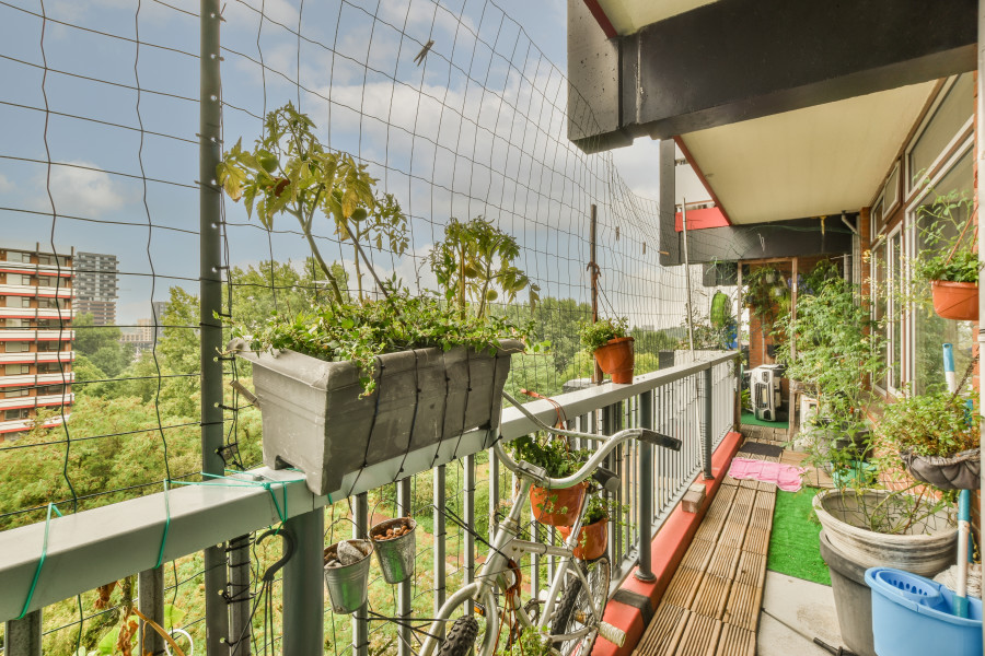 Balkon Filesi