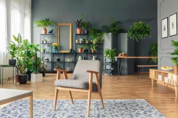 Bitkilerle dolu, düzenli ve modern bir oturma odası.