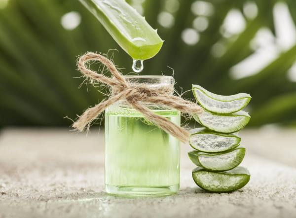Aloe vera yaprakları ve kırpılmış bir ip ile bağlanmış aloe vera jel dolu cam kavanoz.