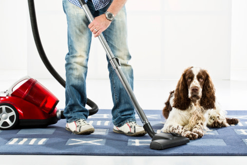 Bir kişi halı üzerinde elektrik süpürgesi kullanırken, yanında oturan köpek.