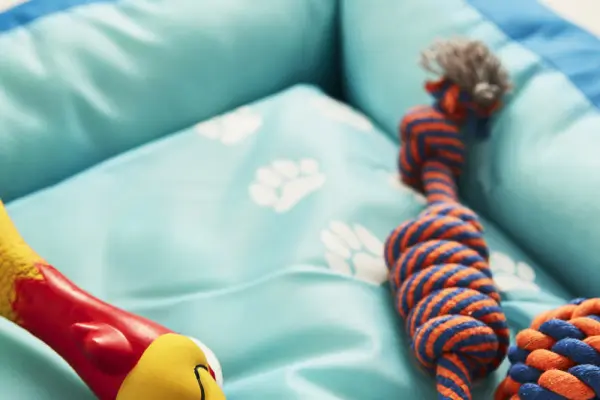 Mavi ve yeşil renkli bir köpek yatağının üzerinde oyuncaklar.
