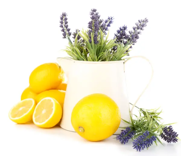 Beyaz bir sürahi içinde lavanta çiçekleri ve yanında bütün ve dilimlenmiş limonlar.