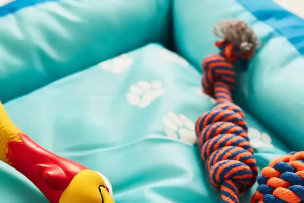 Mavi köpek yatağında köpek oyuncakları.