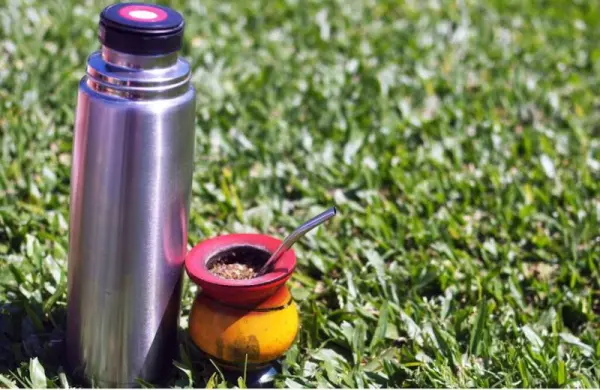 Çimler üzerinde metal termos ve mate kabı ile bombilla (metal içme samanı).